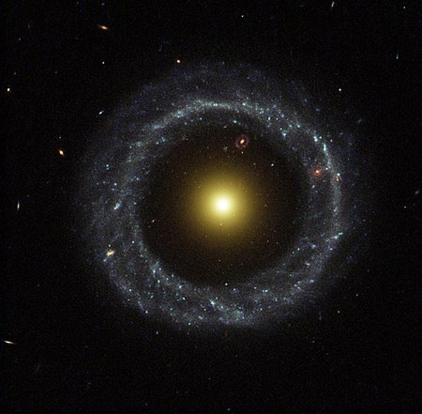 Spring Serpents And Clusters 5enses Magazine